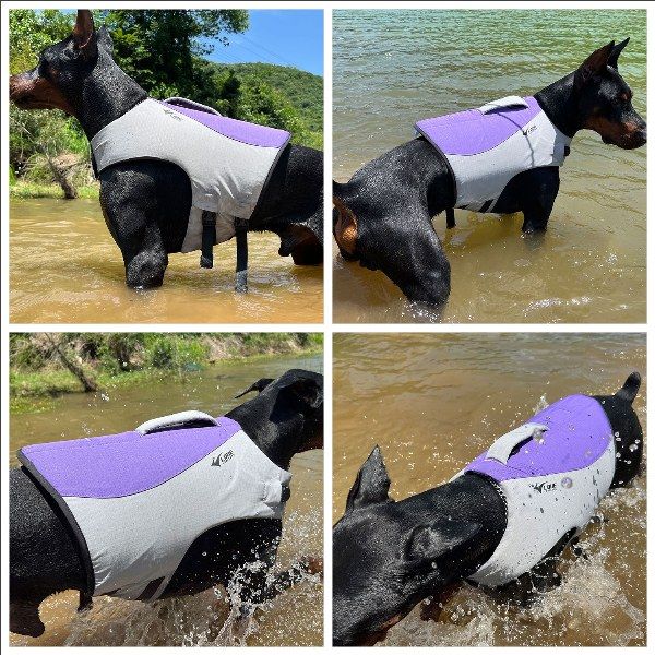 Dog Safety Life Jacket
