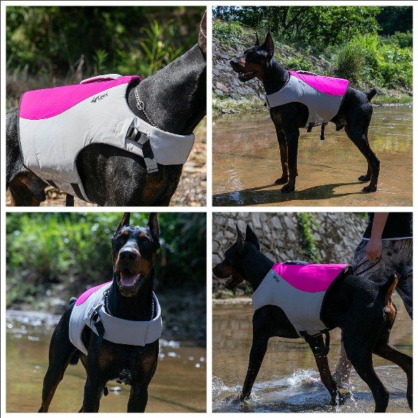 Dog Safety Life Jacket