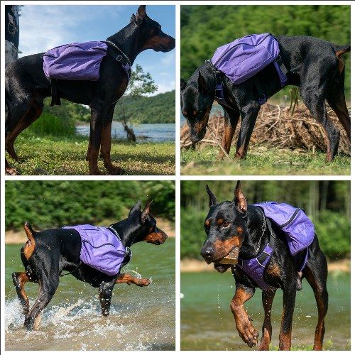 Dog Backpack for Hiking