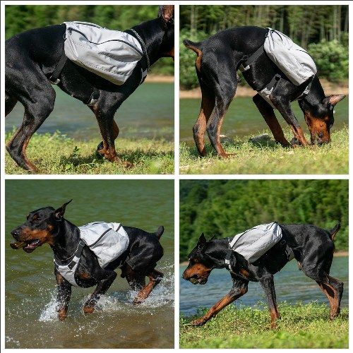 Dog Backpack for Hiking