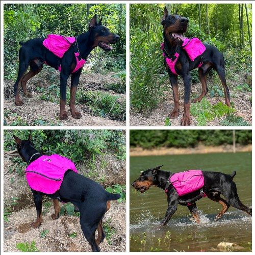 Dog Backpack for Hiking