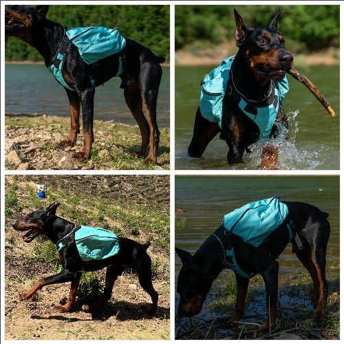 Dog Backpack for Hiking