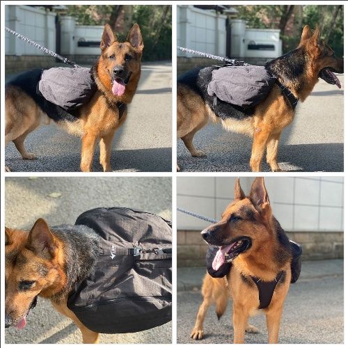 Dog Backpack for Hiking