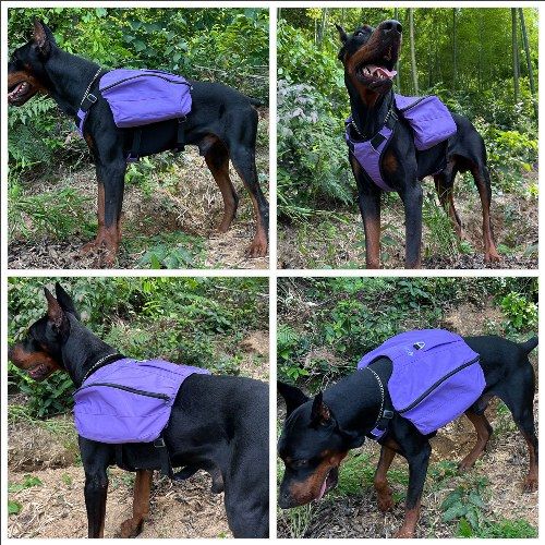 Dog Backpack for Hiking