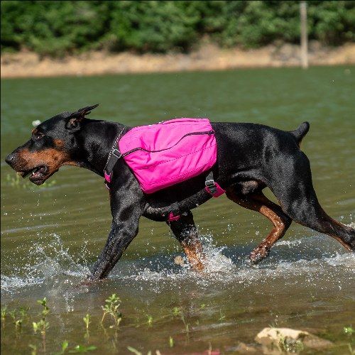 Dog Backpack for Hiking