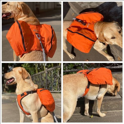 Dog Backpack for Hiking