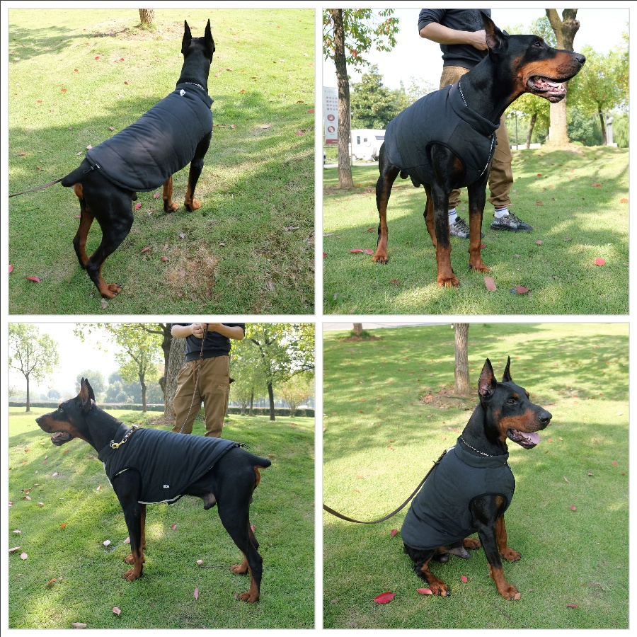 Waterproof Fleece Dog Vest