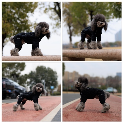 Warm Dog Coat