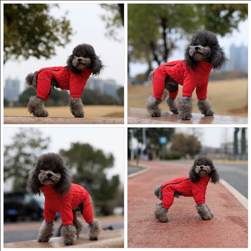 Warm Dog Coat