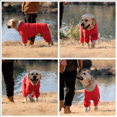 Warm Dog Coat