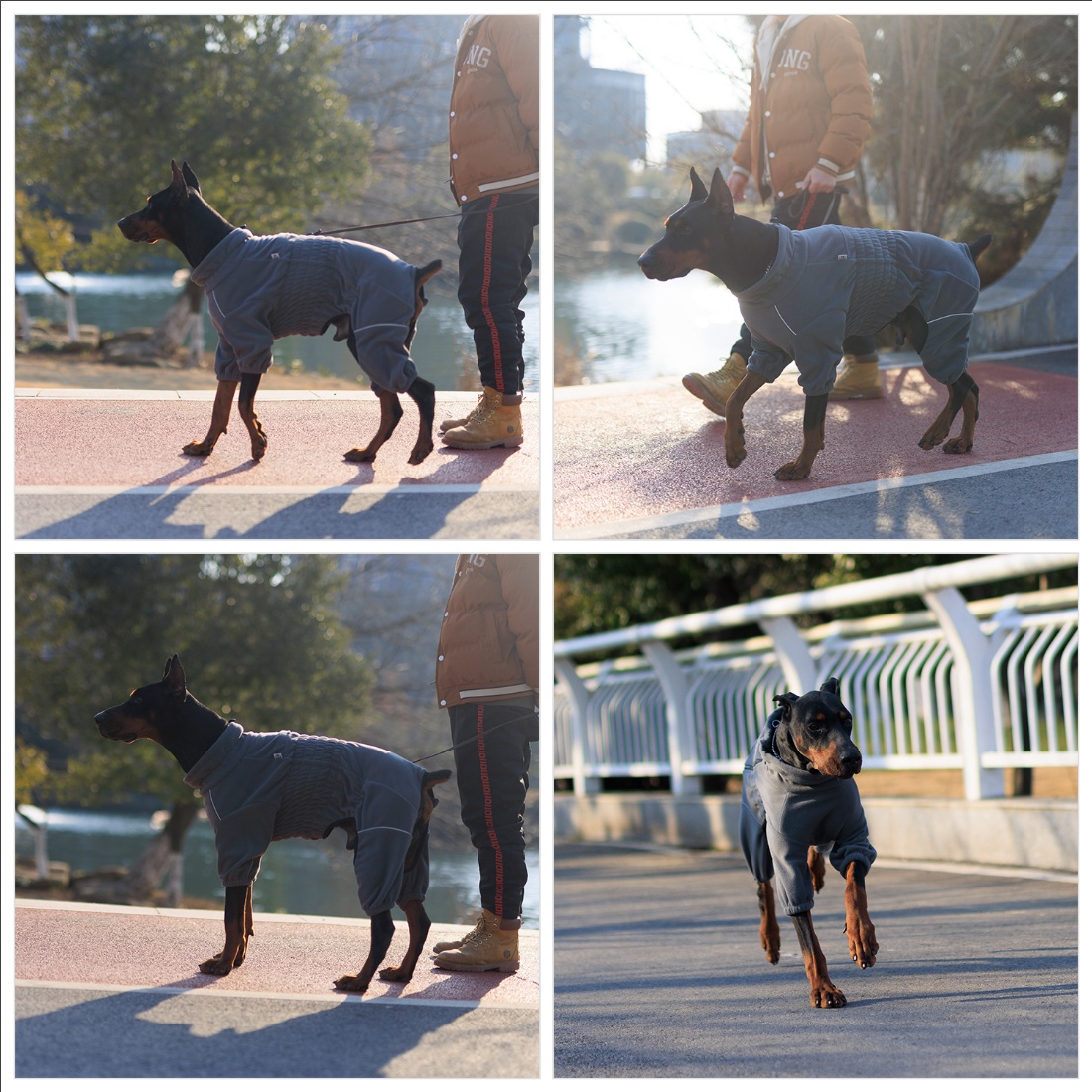 Warm Dog Coat