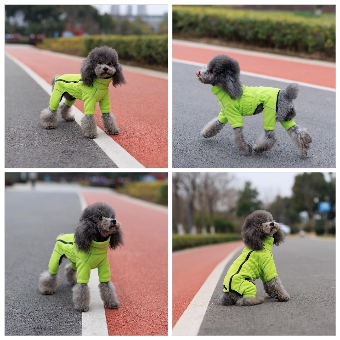 Warm Dog Coat