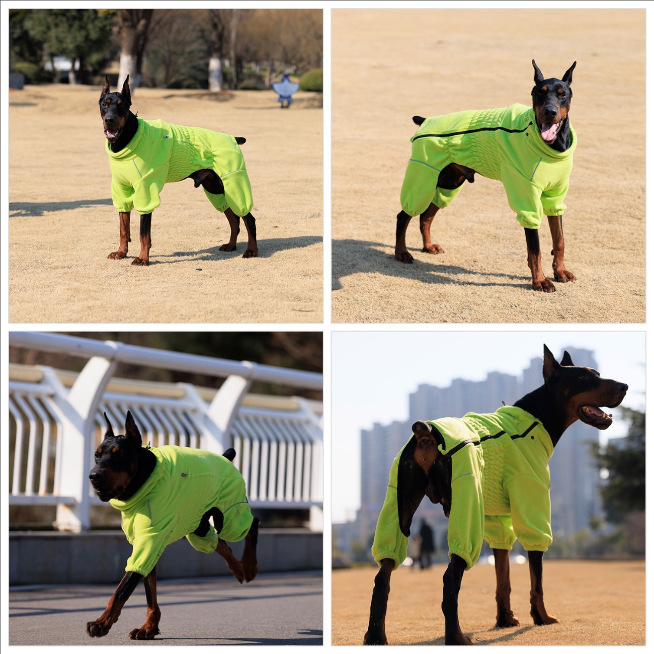 Warm Dog Coat