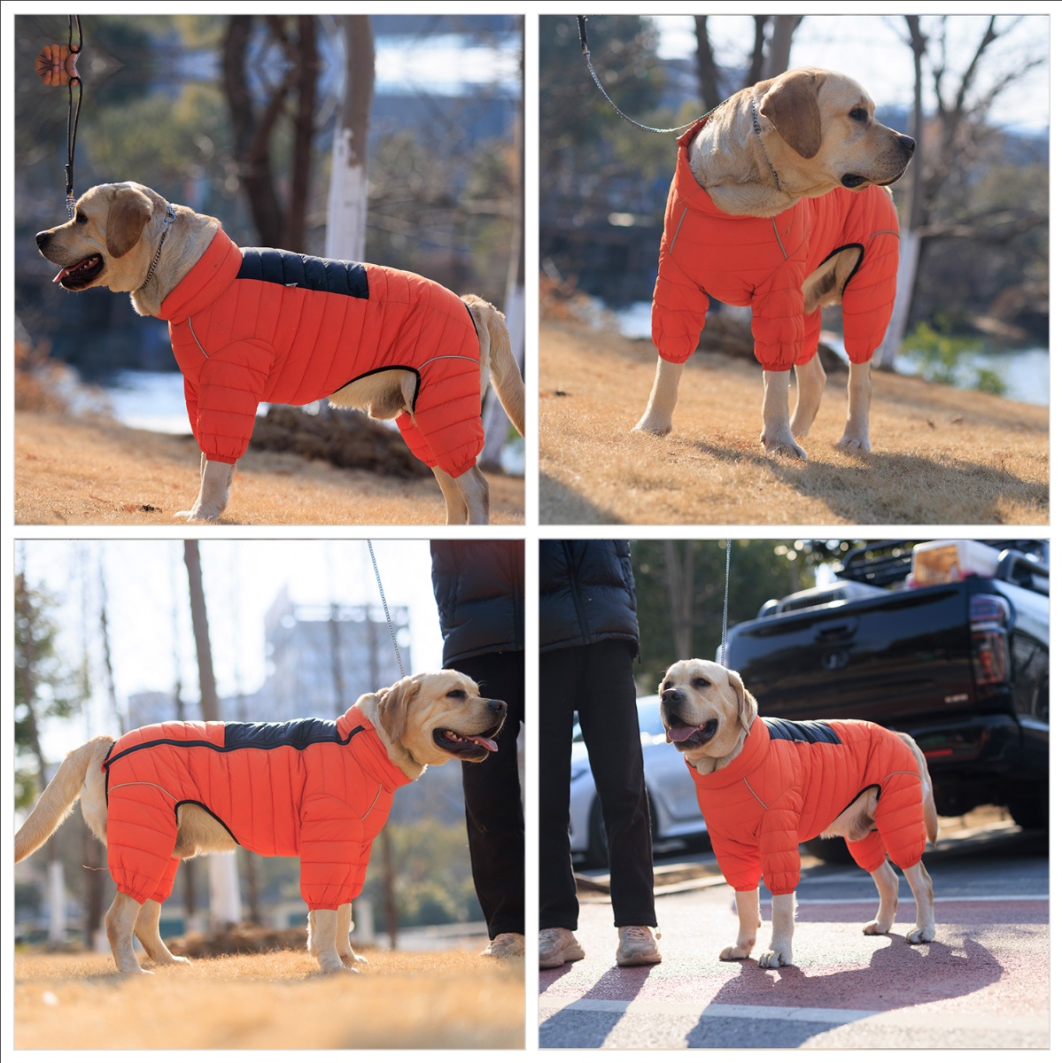 Dog Coat Dog Warm Jacket
