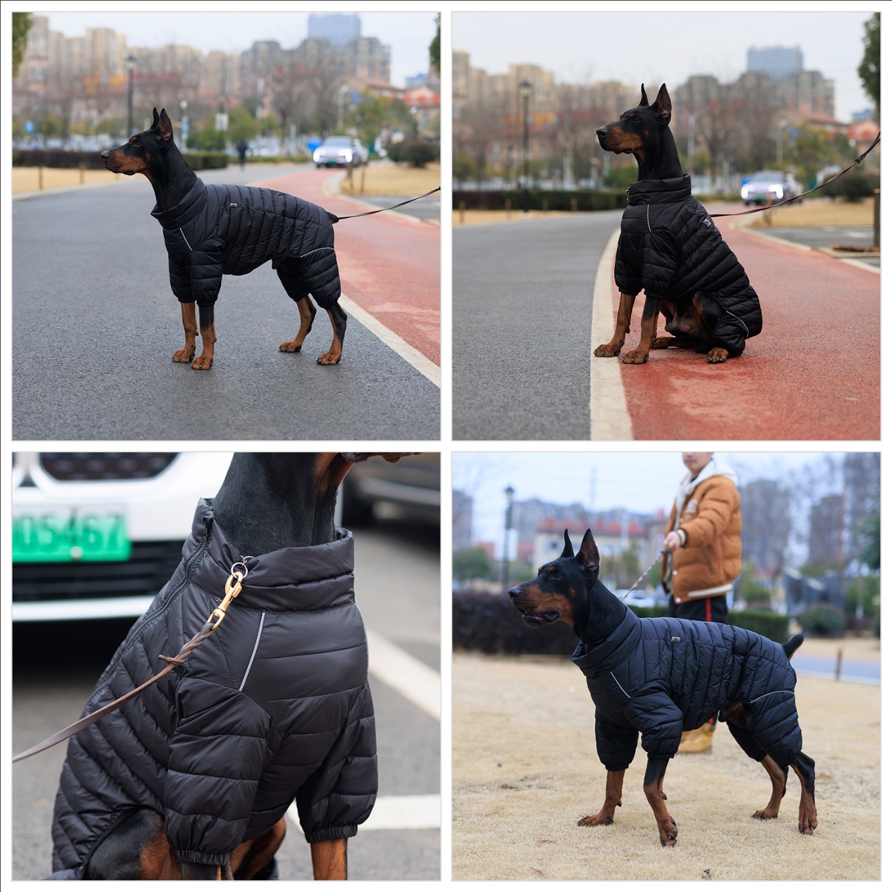 Dog Coat Dog Warm Jacket
