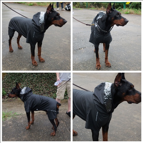 Four-Legged Full Coverage Waterproof Dog