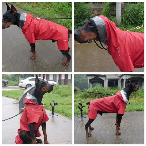 Four-Legged Full Coverage Waterproof Dog
