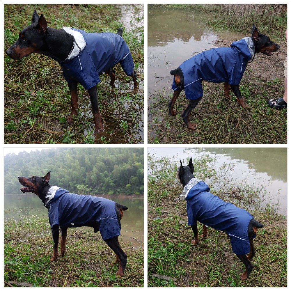 Four-Legged Full Coverage Waterproof Dog