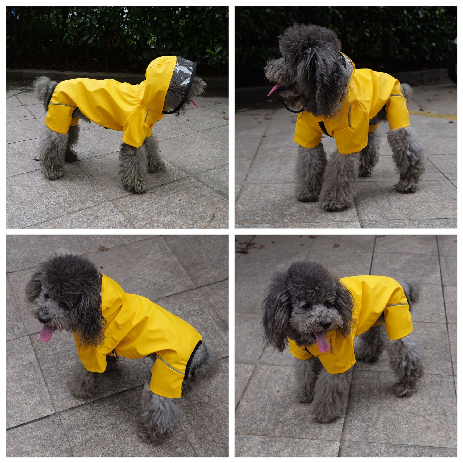 Four-Legged Full Coverage Waterproof Dog