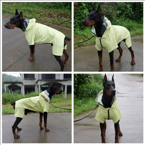 Four-Legged Full Coverage Waterproof Dog