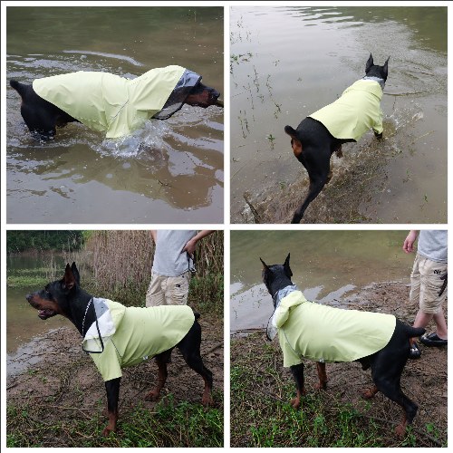 Premium Waterproof Dog Raincoat