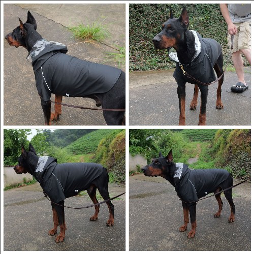 Premium Waterproof Dog Raincoat