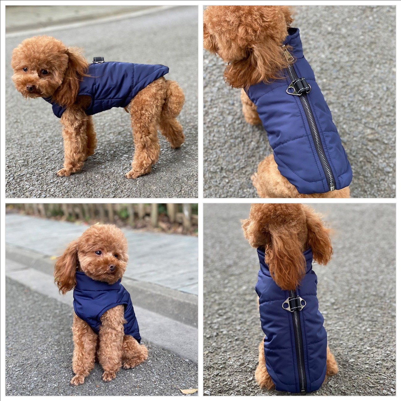 Dog Winter Vest with Cotton Lining