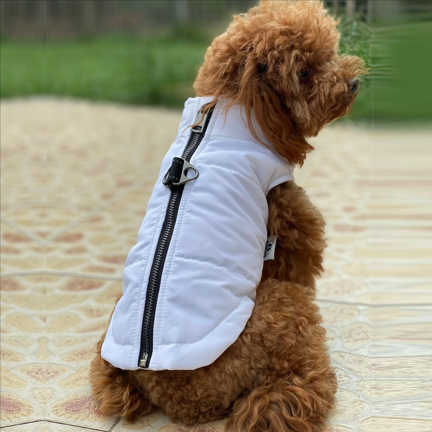 Dog Winter Vest with Cotton Lining