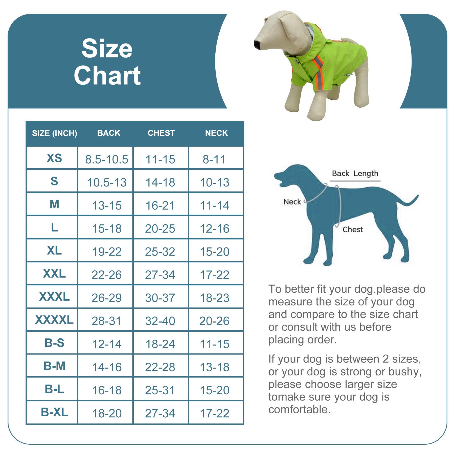 2019 New Dog Raincoat