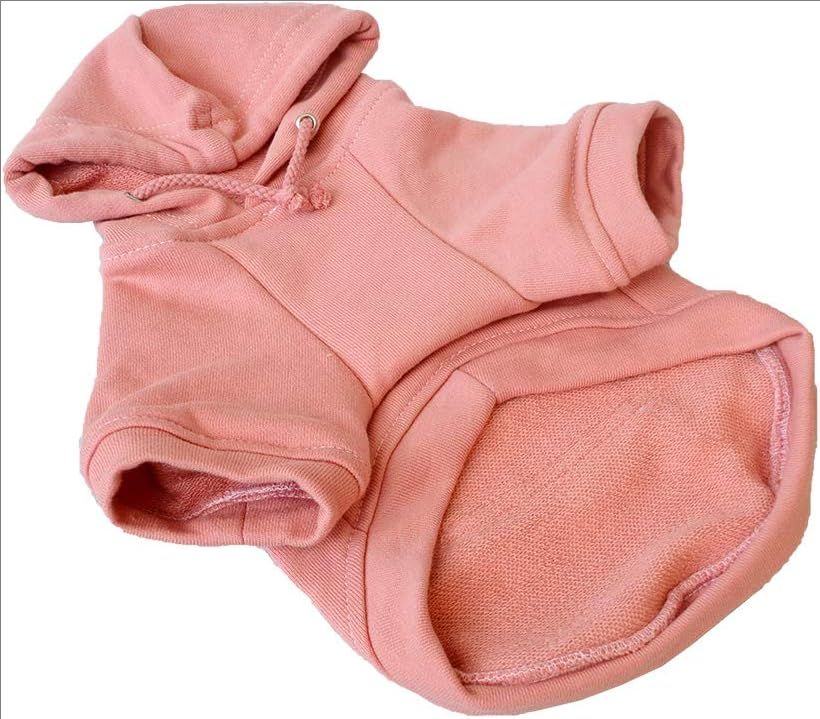 Blank Basic Hoodie Sweatshirt