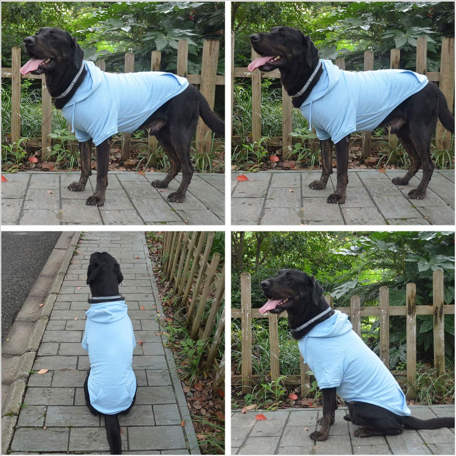 Blank Basic Hoodie Sweatshirt