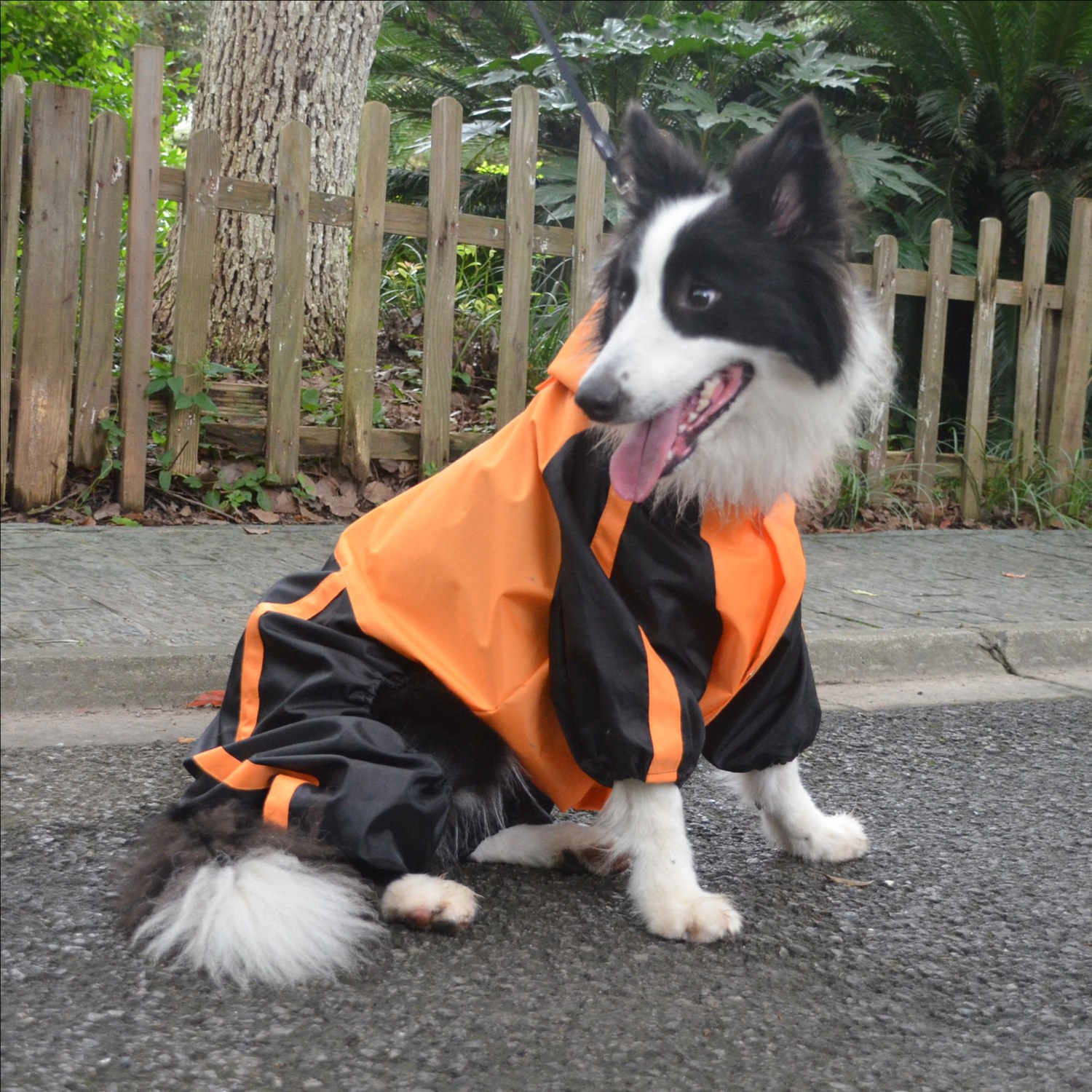 lovelonglong Dog Raincoat