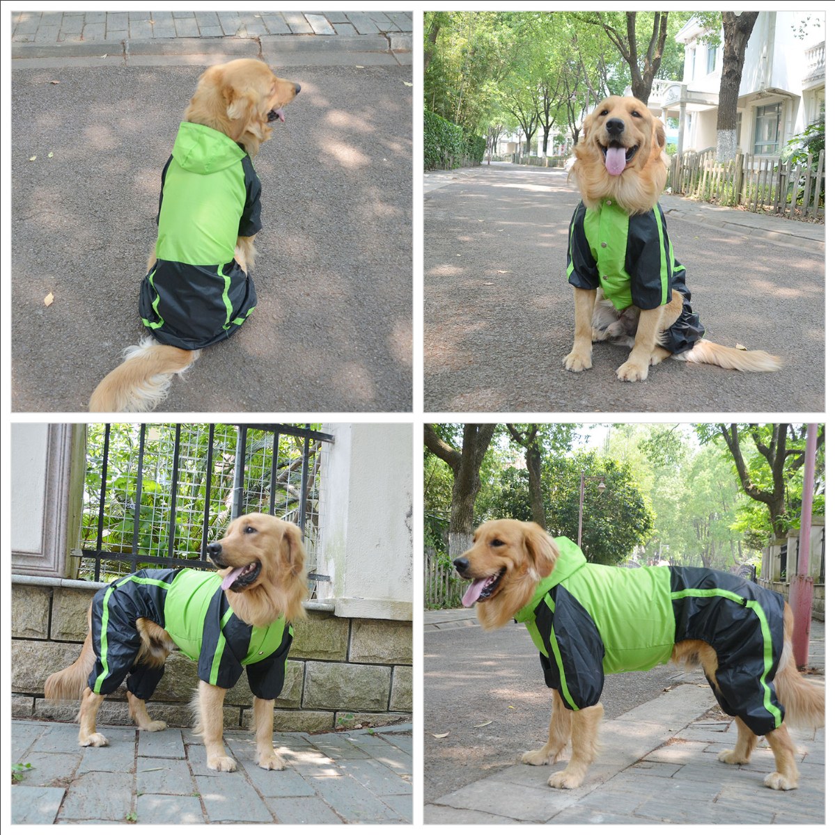 lovelonglong Dog Raincoat