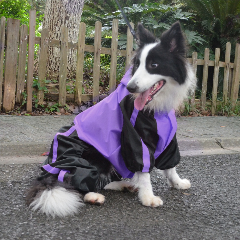 lovelonglong Dog Raincoat