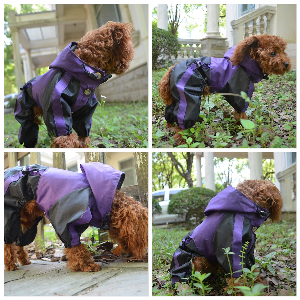 lovelonglong Dog Raincoat