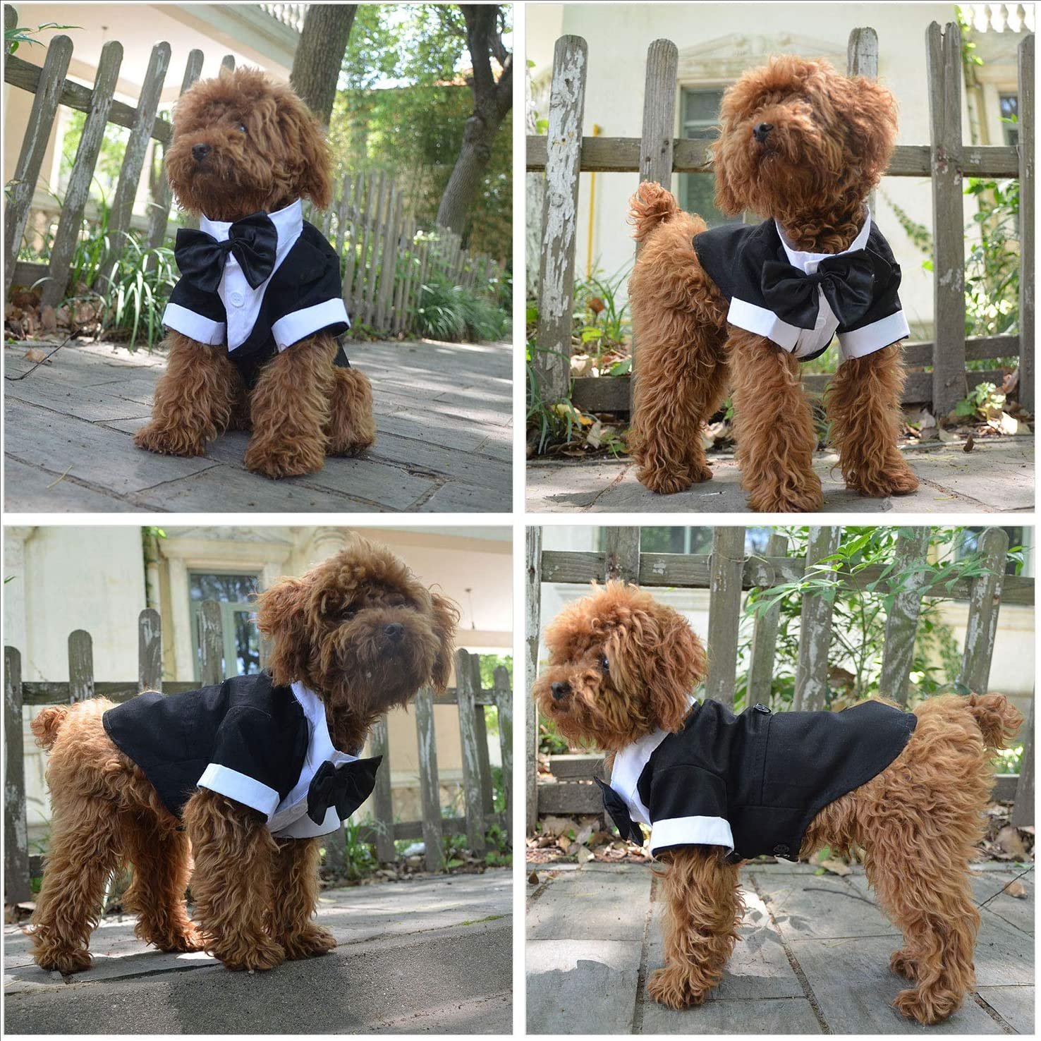 Dog Products wholesale Wedding tuxedo