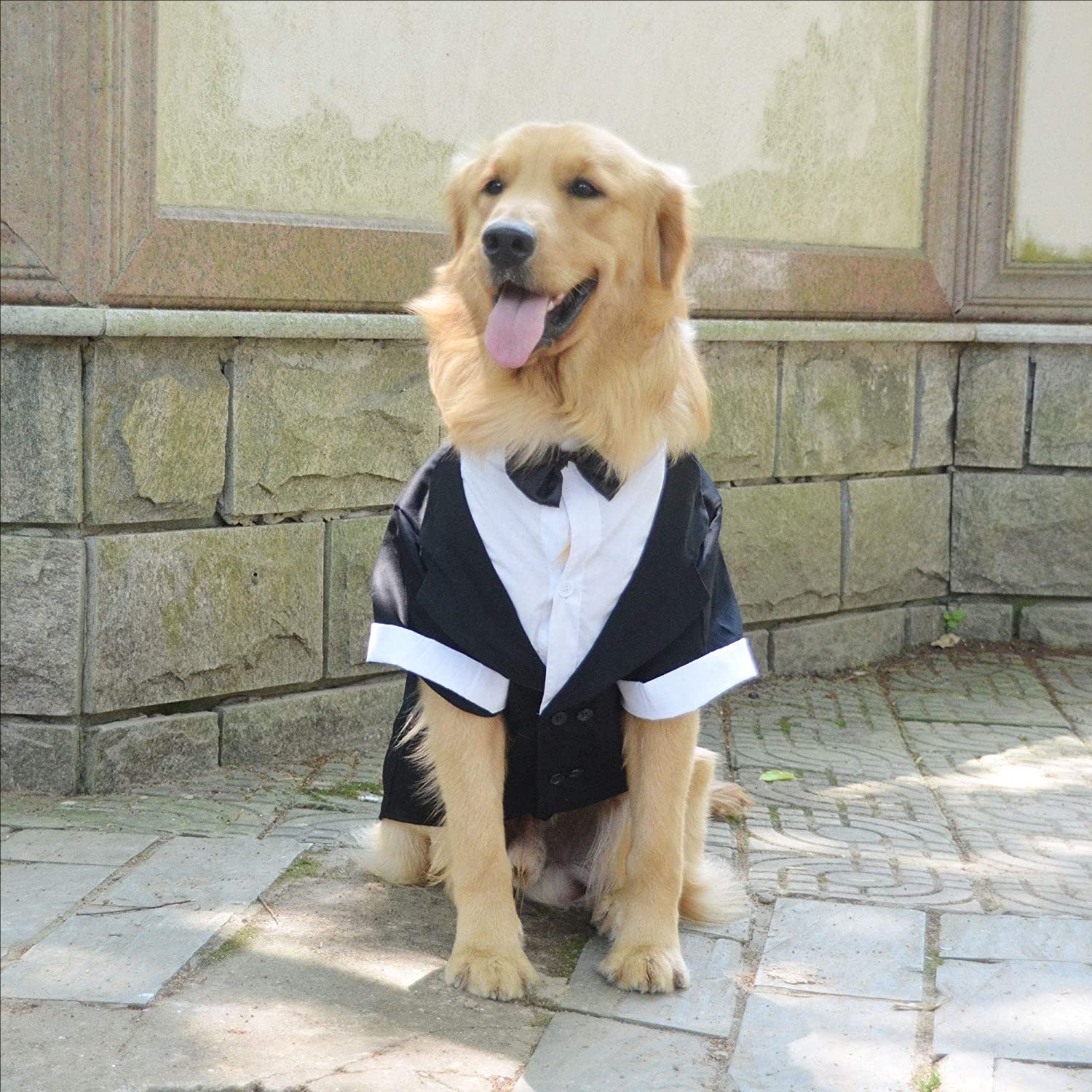 Dog Products wholesale Wedding tuxedo