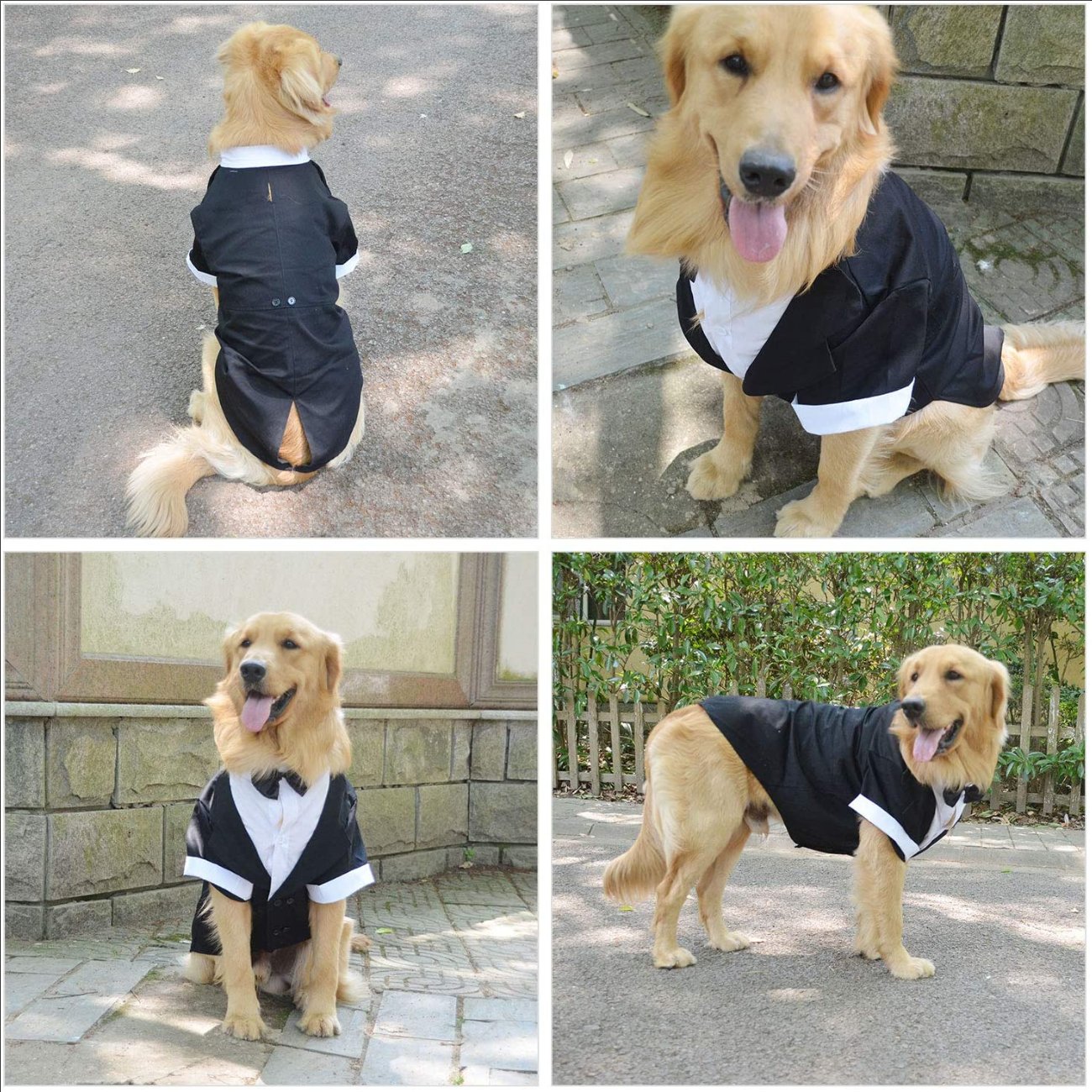Dog Products wholesale Wedding tuxedo