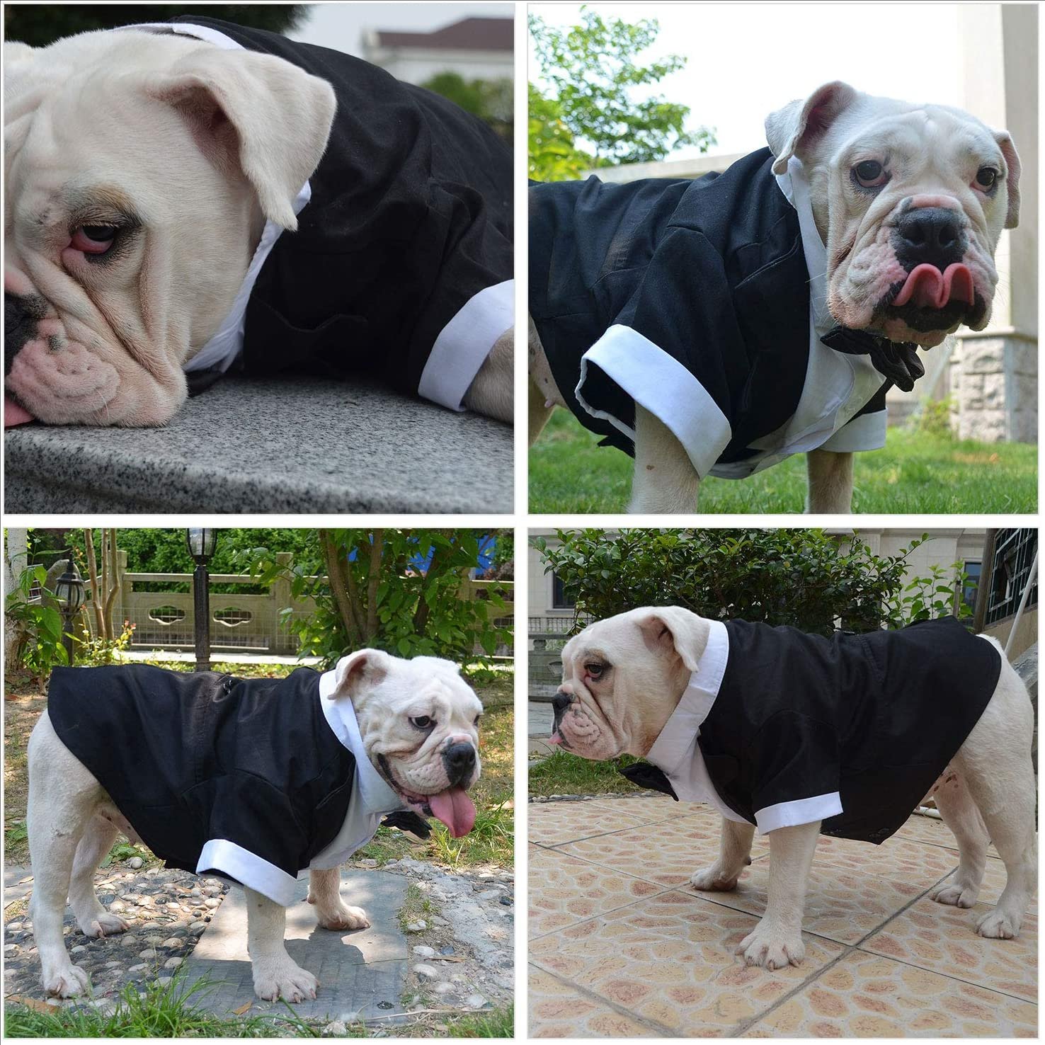 Dog Products wholesale Wedding tuxedo
