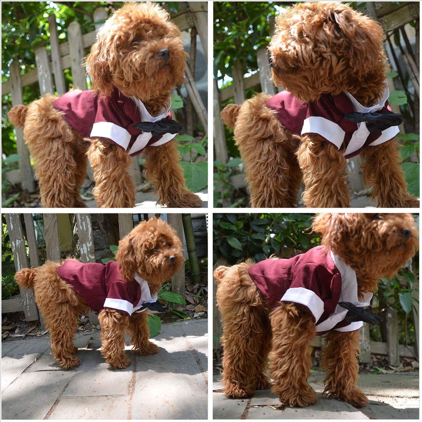 Dog Products wholesale Wedding tuxedo