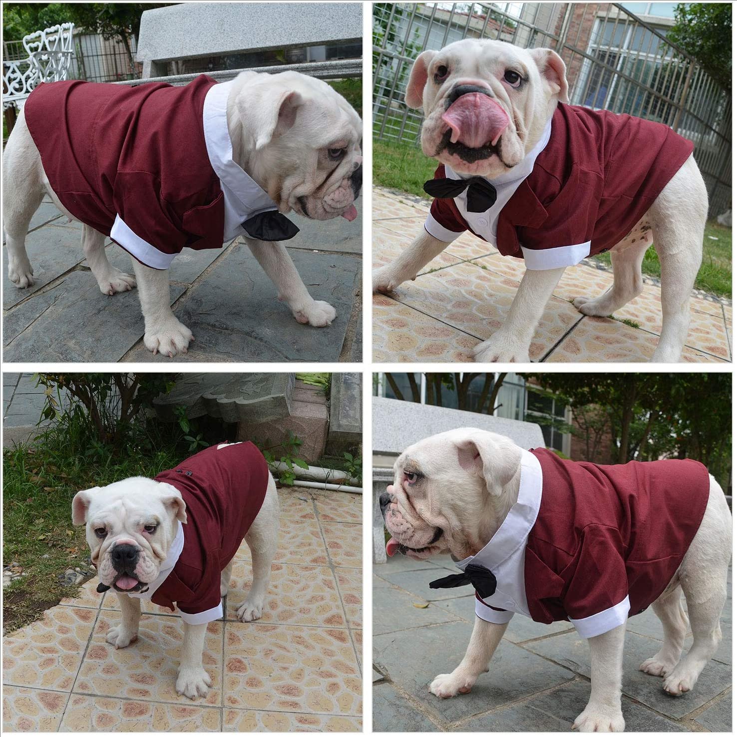 Dog Products wholesale Wedding tuxedo