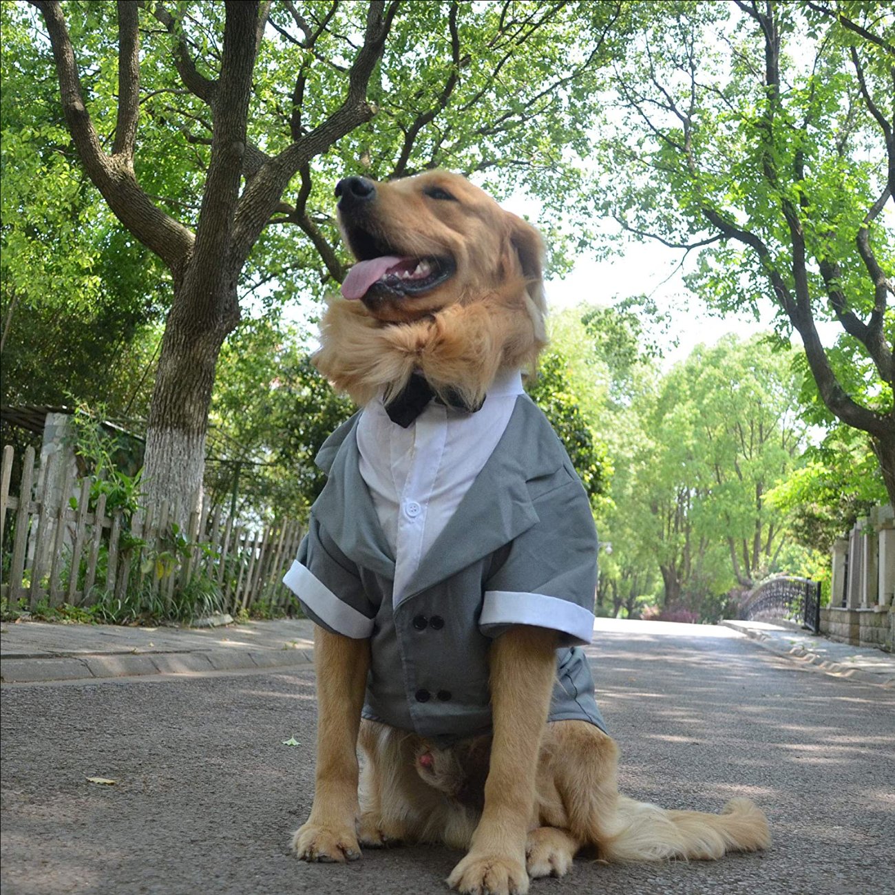 Dog Products wholesale Wedding tuxedo