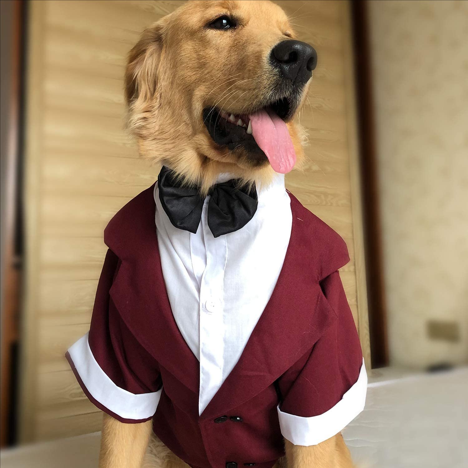 Dog Products wholesale Wedding tuxedo