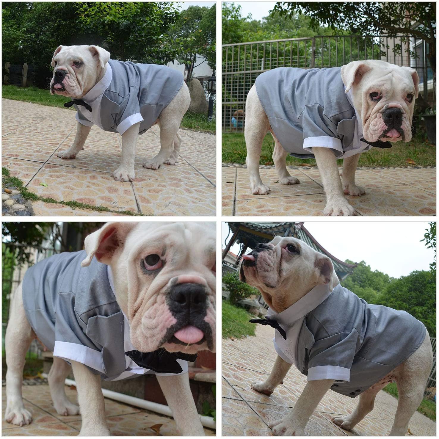 Dog Products wholesale Wedding tuxedo
