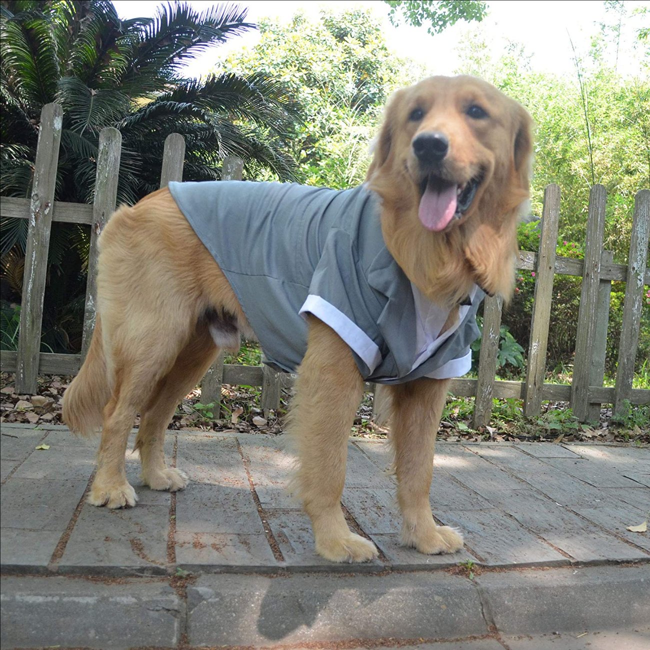 Dog Products wholesale Wedding tuxedo