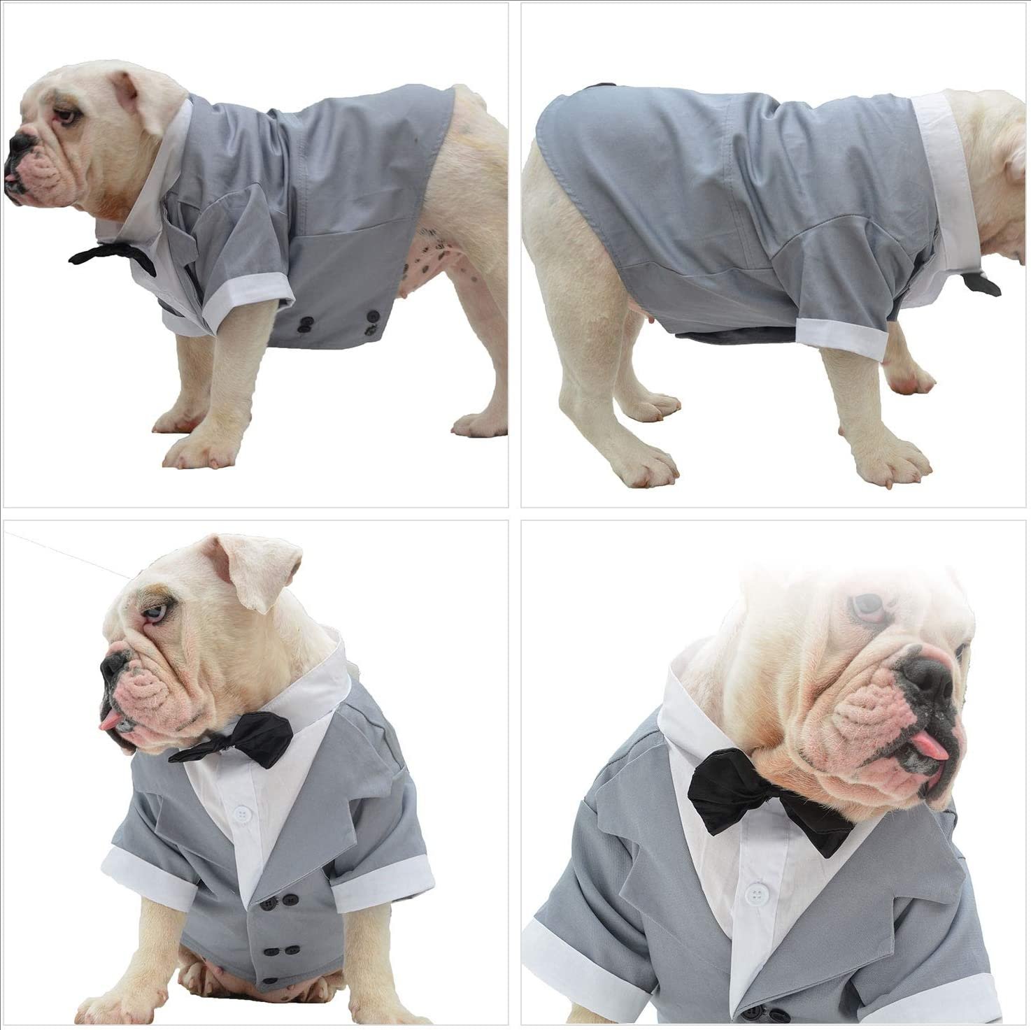 Dog Products wholesale Wedding tuxedo