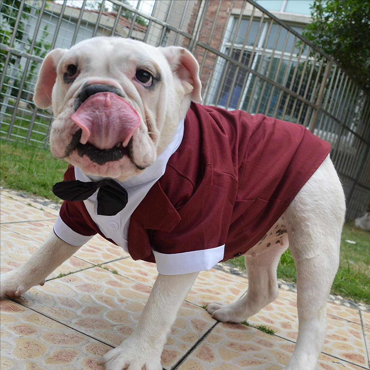 Dog Products wholesale Wedding tuxedo