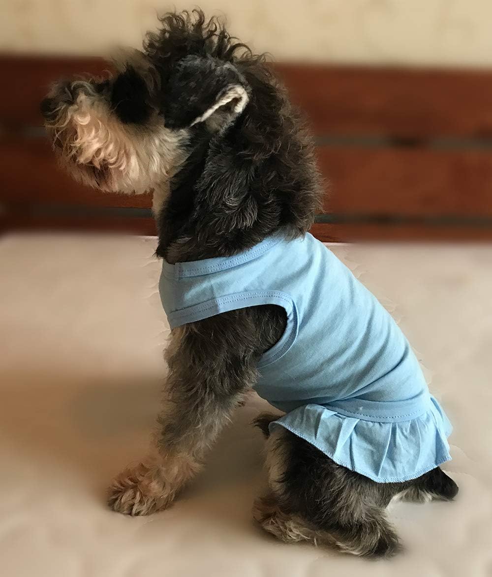 Tee Dresses