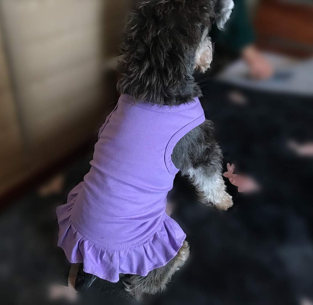 Tee Dresses