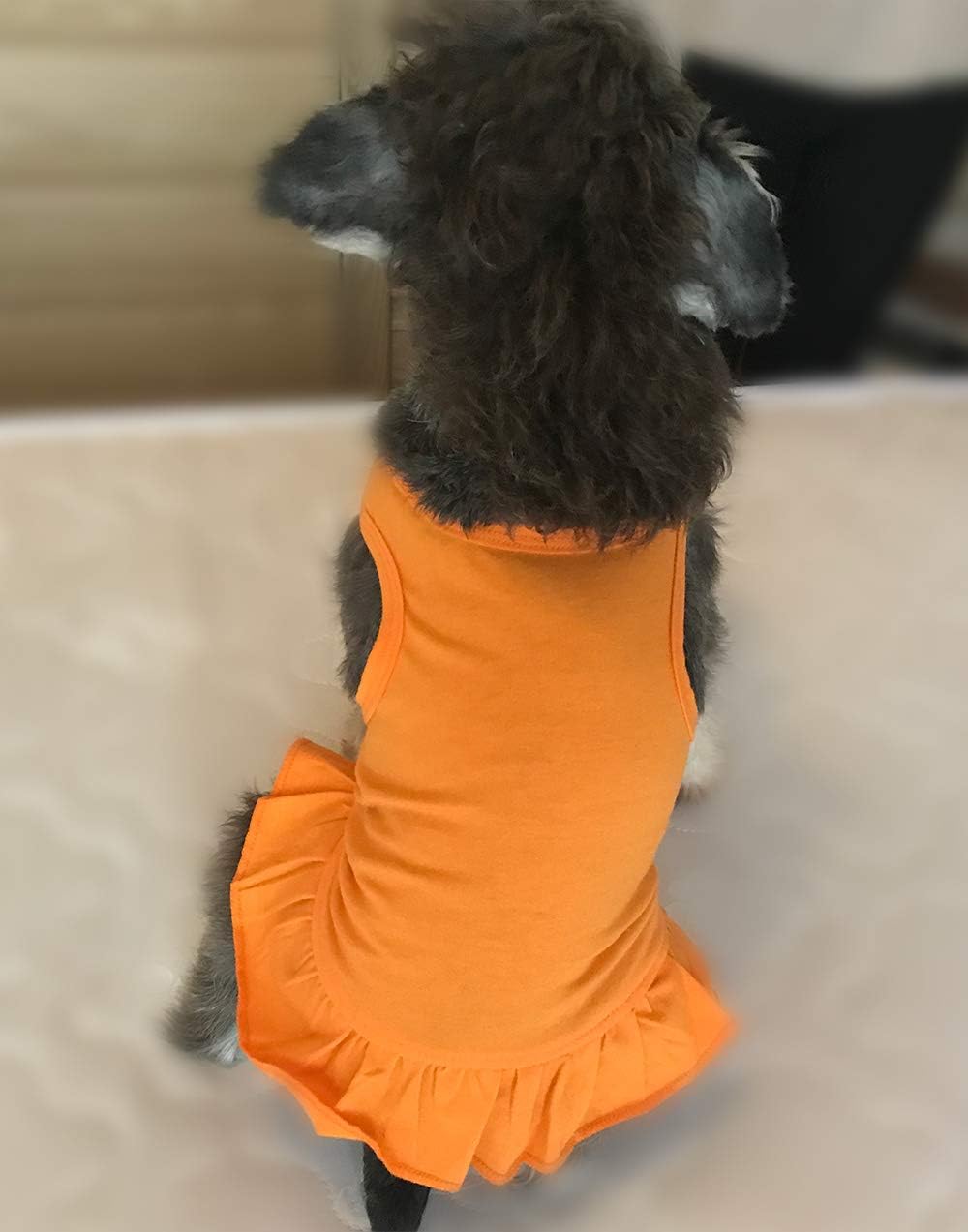 Tee Dresses